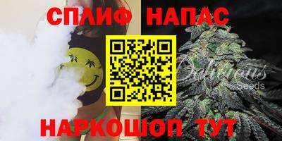 мдпв Долгопрудный