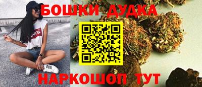 мдпв Долгопрудный