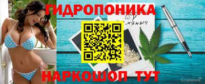 не бодяженный Дмитров