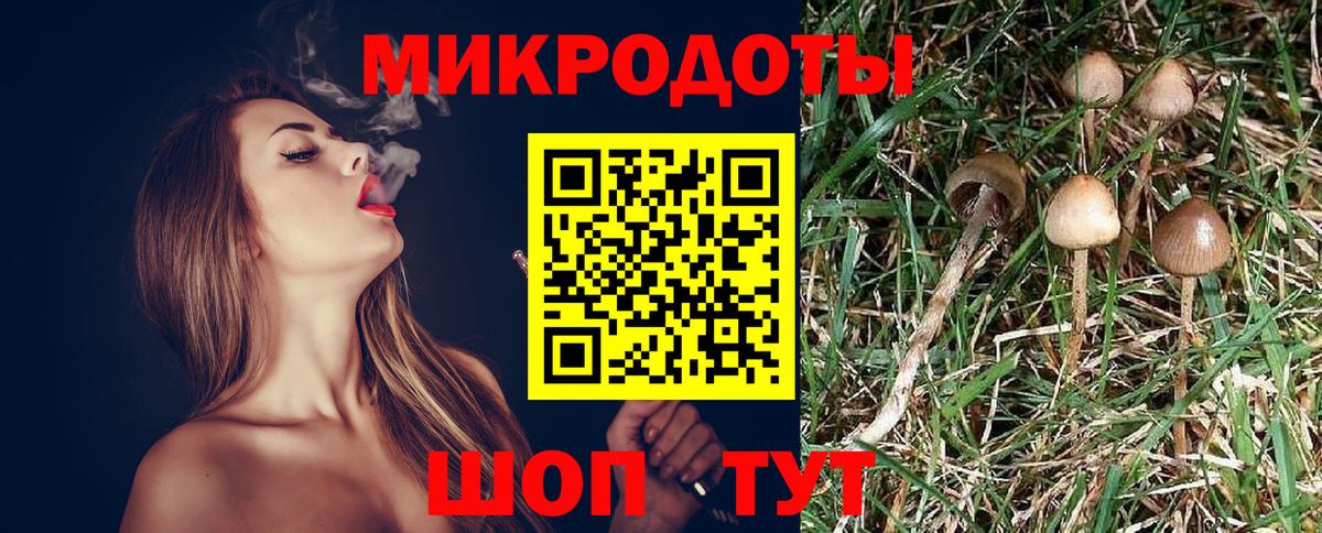 Псилоцибиновые грибы ЛСД Богданович