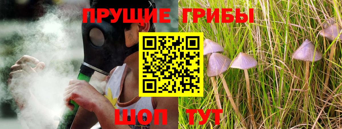 Галлюциногенные грибы прущие грибы  Вход с VPN  Псилоцибиновые грибы Cubensis  где купить   Богданович 